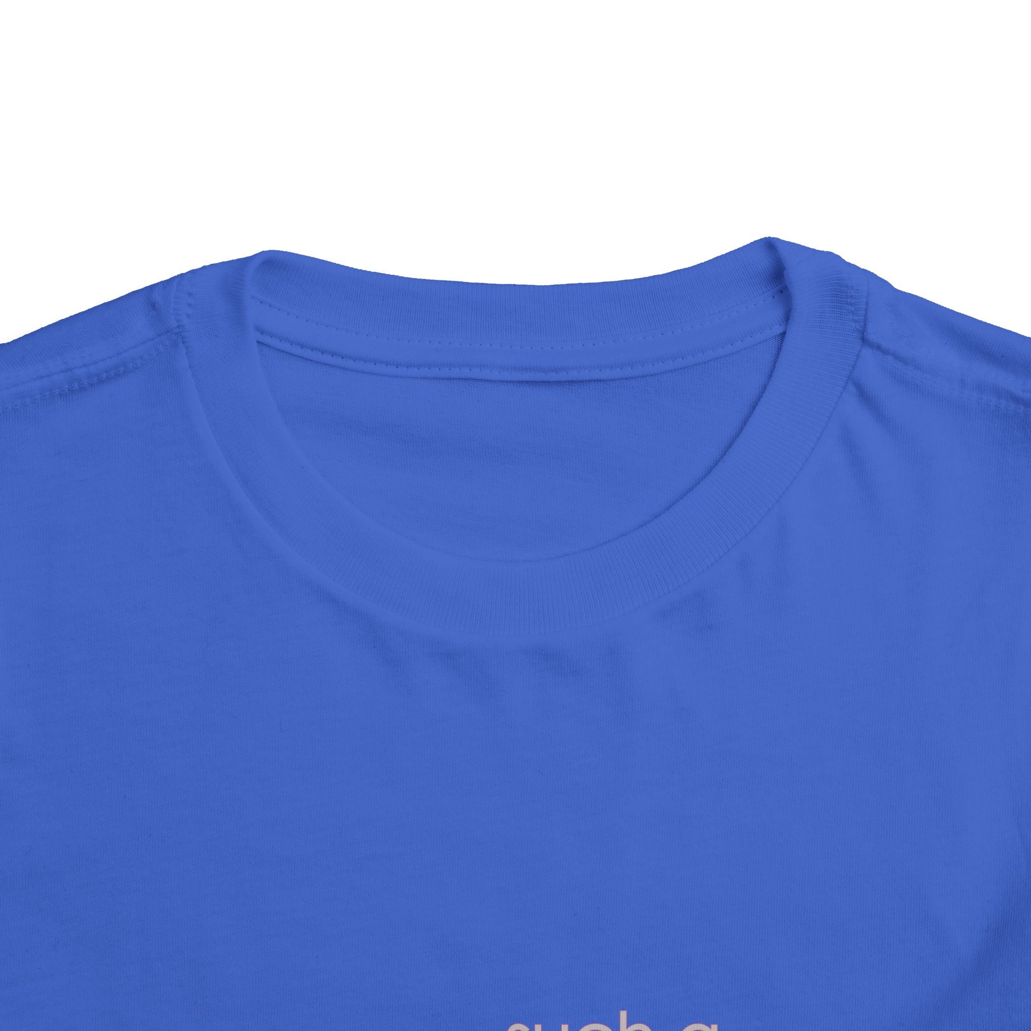 Toddler Tee - "Such a Big Miracle in Such a Little Boy" Inspirational Boy T-Shirt