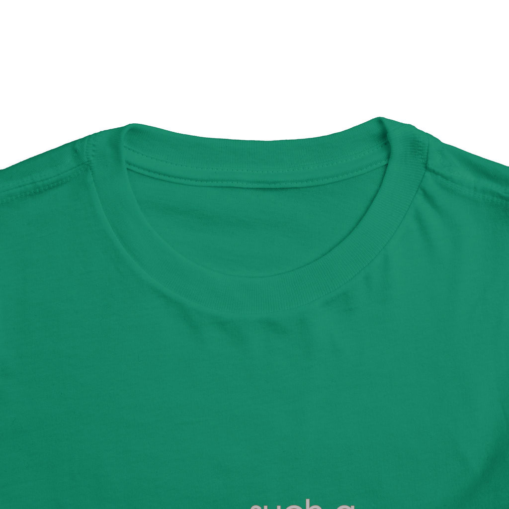 Toddler Tee - "Such a Big Miracle in Such a Little Boy" Inspirational Boy T-Shirt