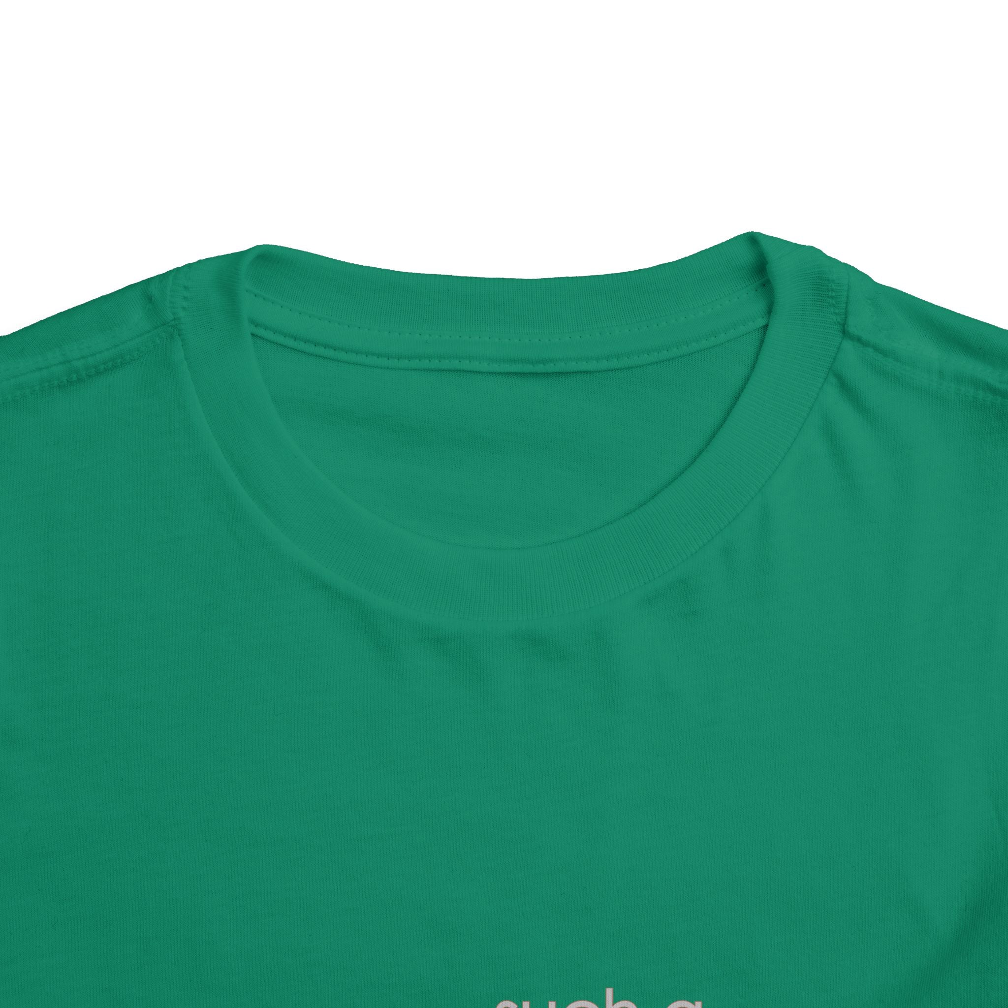 Toddler Tee - "Such a Big Miracle in Such a Little Boy" Inspirational Boy T-Shirt