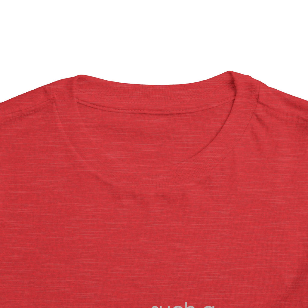 Toddler Tee - "Such a Big Miracle in Such a Little Boy" Inspirational Boy T-Shirt