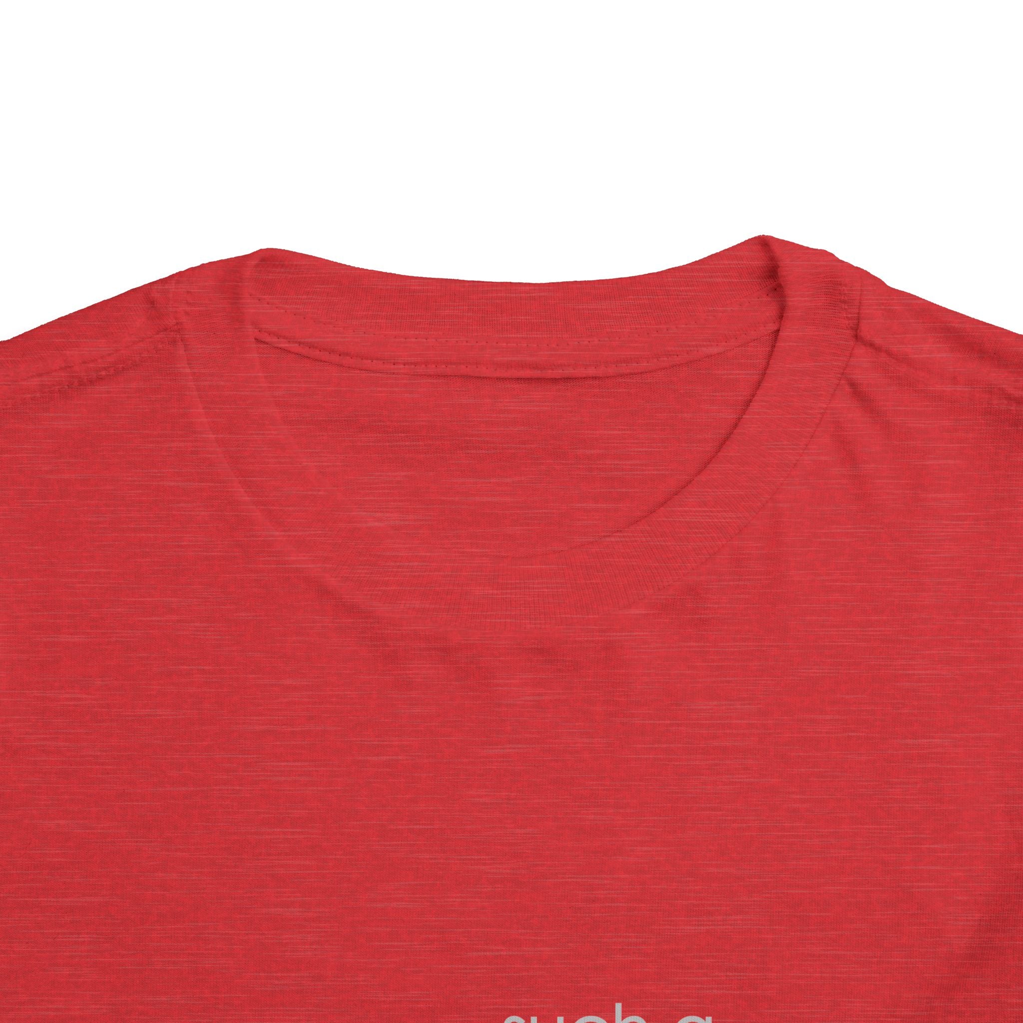 Toddler Tee - "Such a Big Miracle in Such a Little Boy" Inspirational Boy T-Shirt
