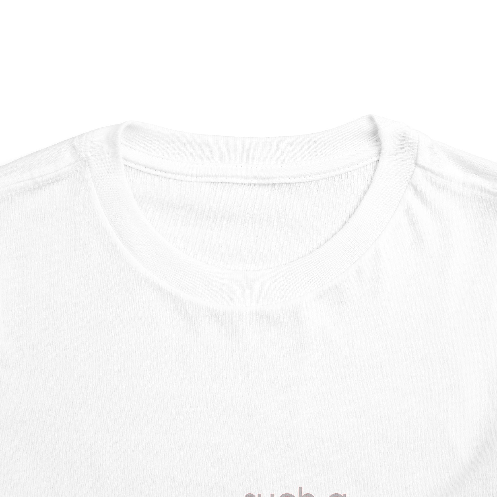 Toddler Tee - "Such a Big Miracle in Such a Little Boy" Inspirational Boy T-Shirt