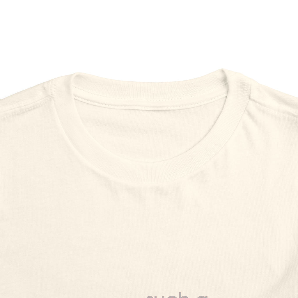 Toddler Tee - "Such a Big Miracle in Such a Little Boy" Inspirational Boy T-Shirt
