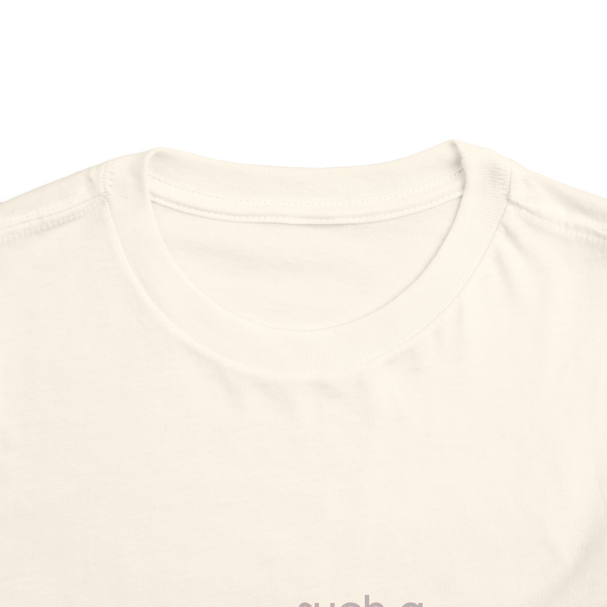 Toddler Tee - "Such a Big Miracle in Such a Little Boy" Inspirational Boy T-Shirt
