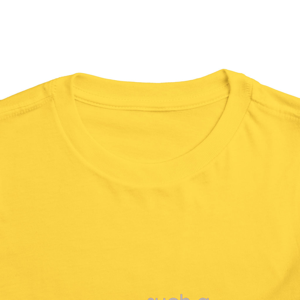 Toddler Tee - "Such a Big Miracle in Such a Little Boy" Inspirational Boy T-Shirt