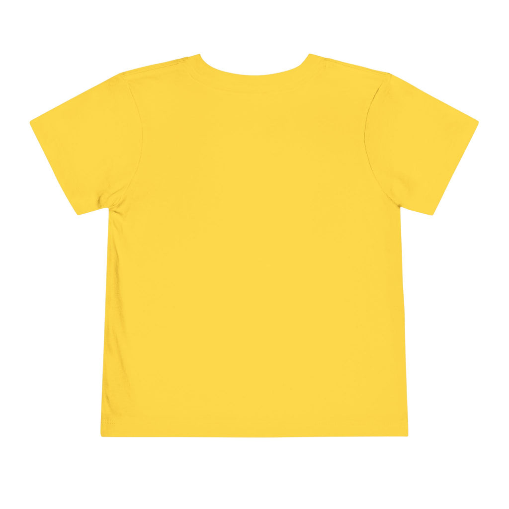 Toddler Tee - "Such a Big Miracle in Such a Little Boy" Inspirational Boy T-Shirt