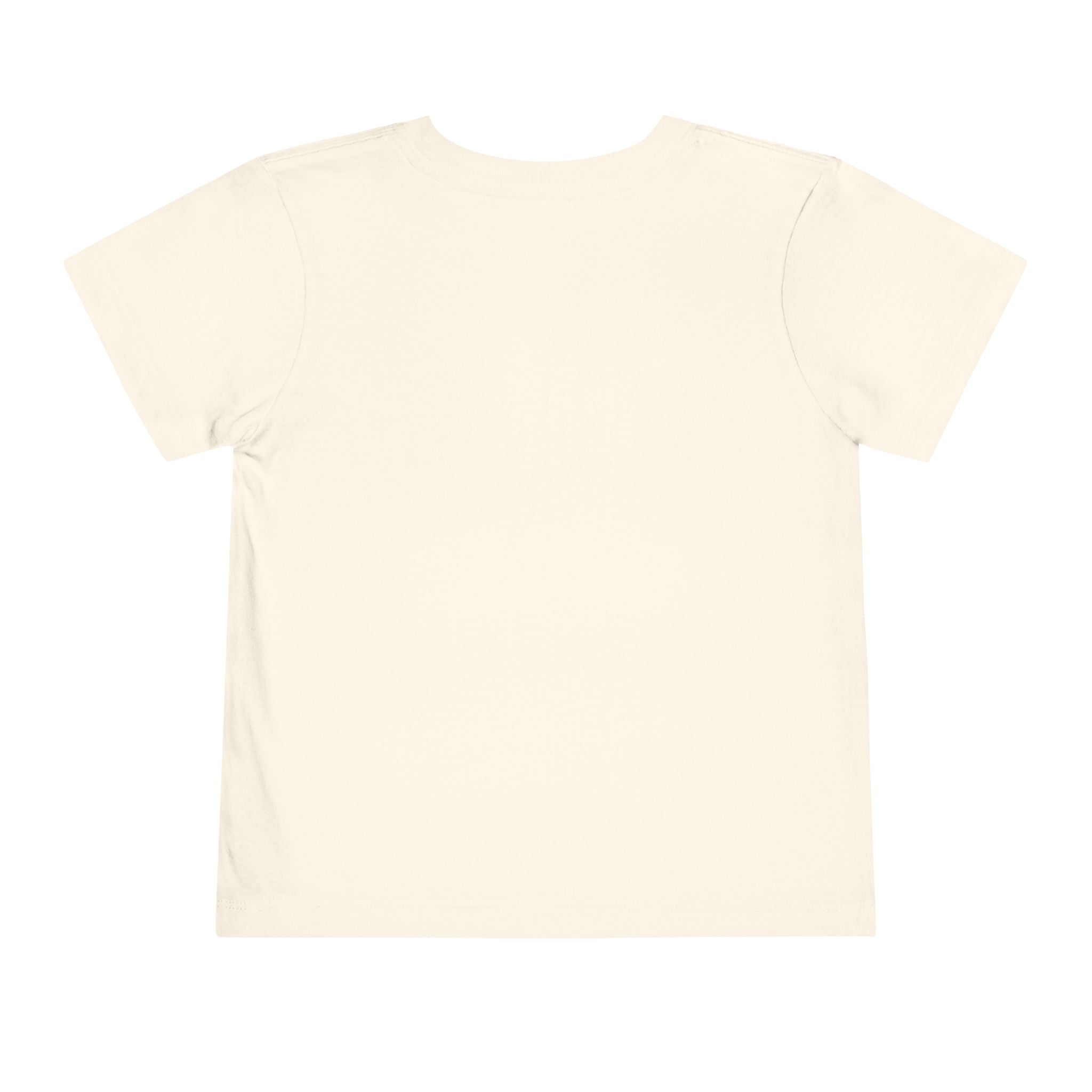 Sugar & Spice Toddler Tee — Pink "Sugar & Spice and Everything Nice" Graphic