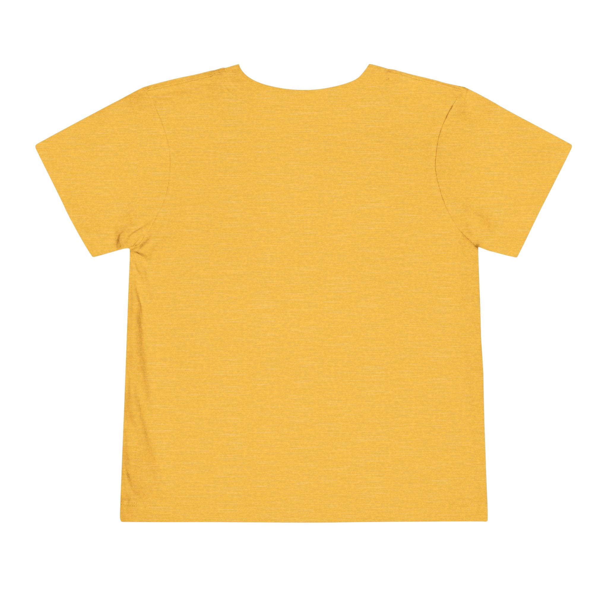 Toddler Tee - "Such a Big Miracle in Such a Little Boy" Inspirational Boy T-Shirt