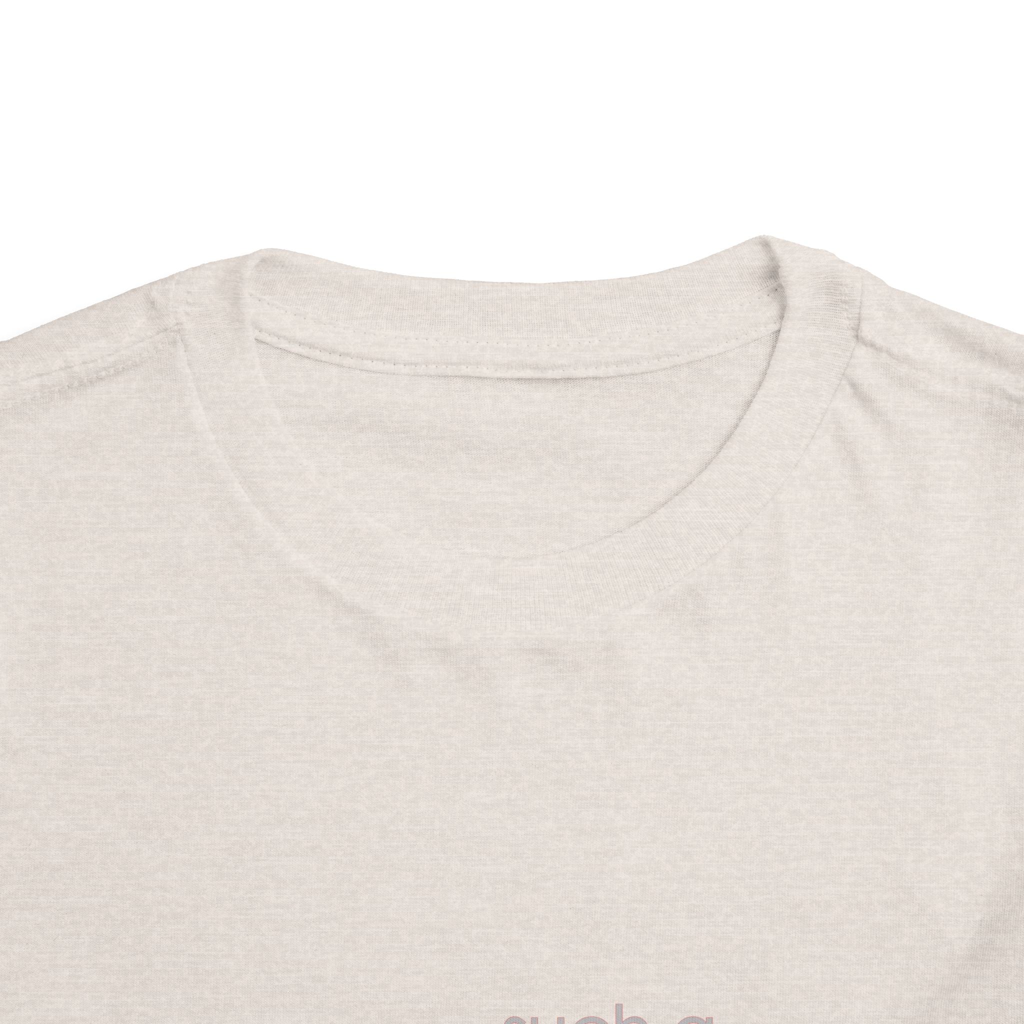 Toddler Tee - "Such a Big Miracle in Such a Little Boy" Inspirational Boy T-Shirt