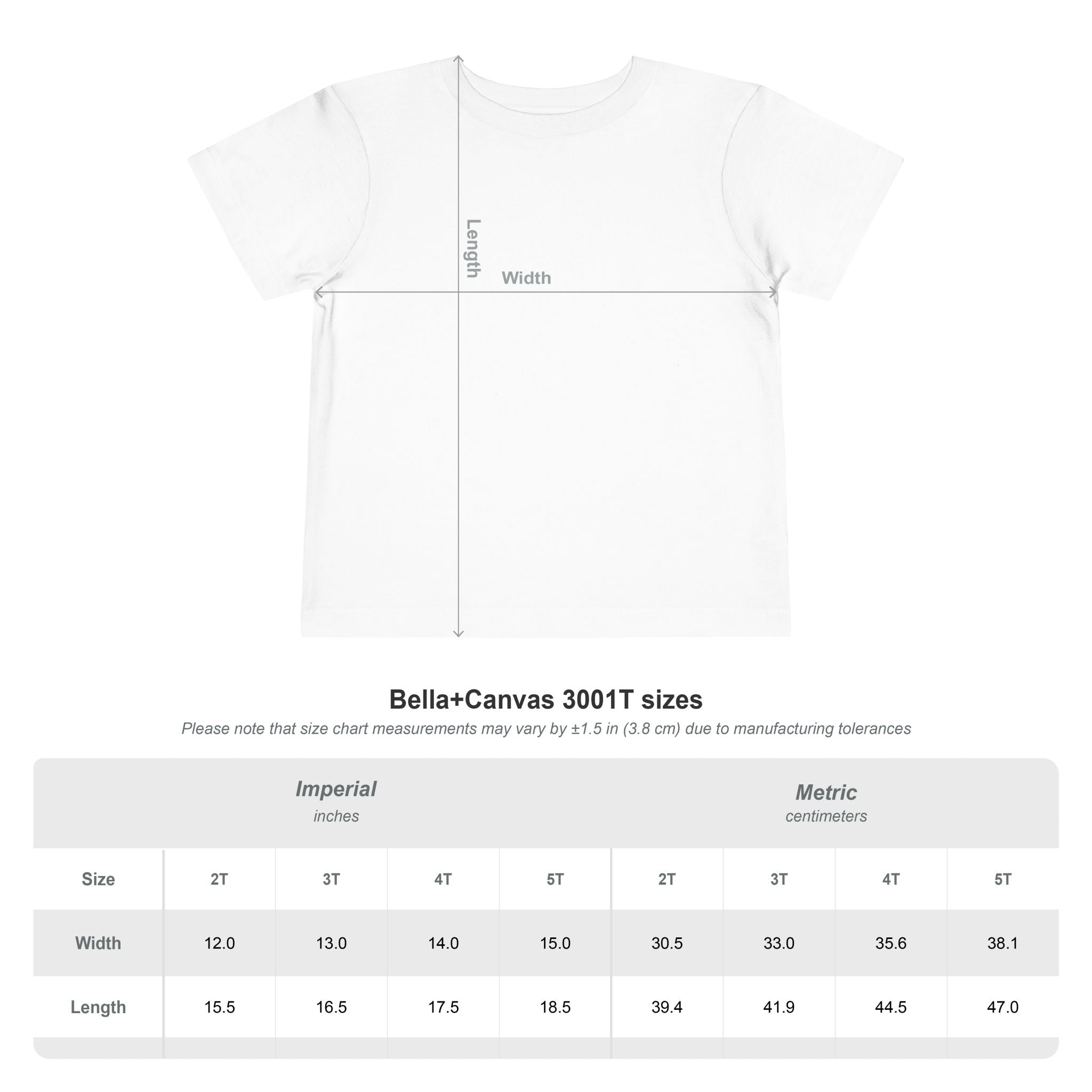 Birthday Princess T-Shirt